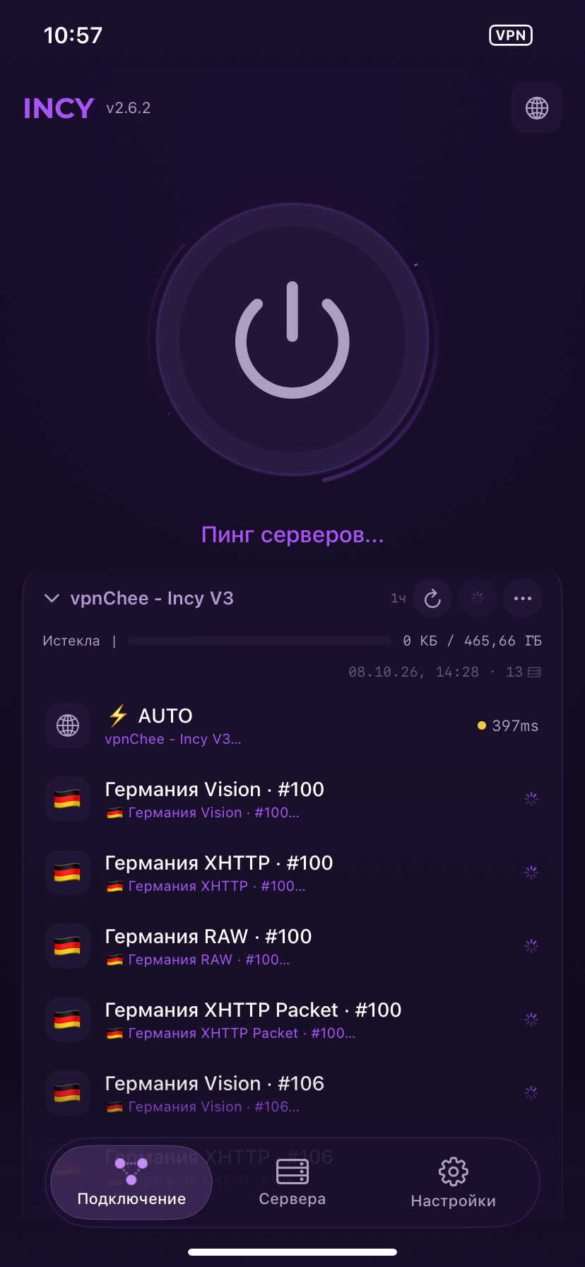 Дождитесь завершения пинга серверов.
